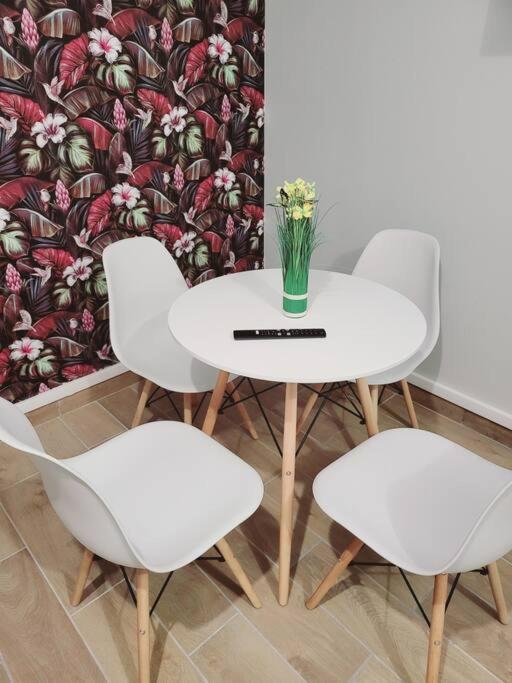 Family Flat Stade De France Airport Cdg Le Bourget "Appart'7" Pierrefitte-sur-Seine Extérieur photo